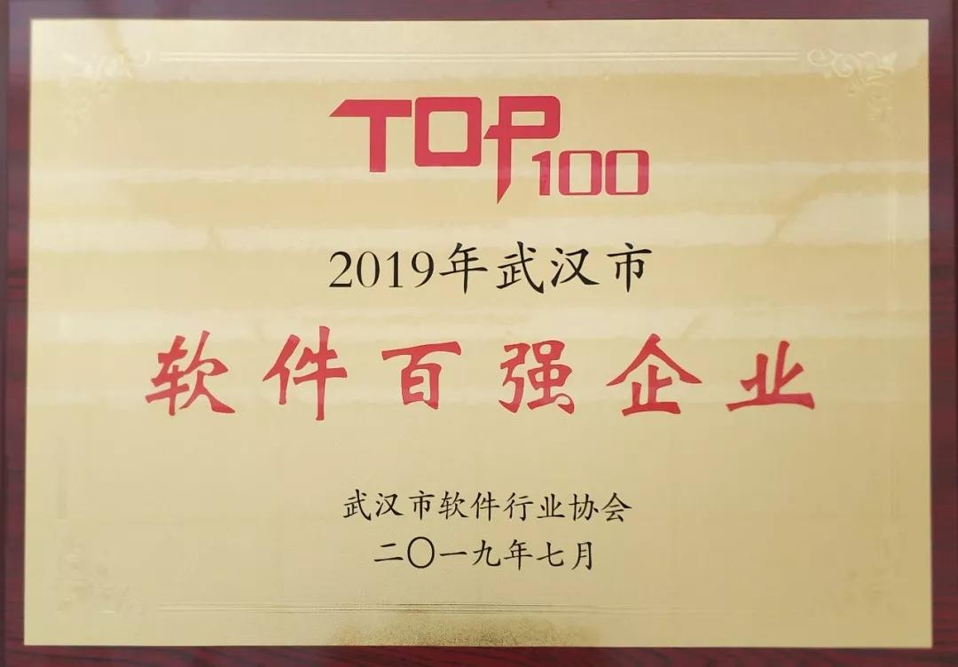 pg官方首页动力荣获2019年武汉市软件百强企业榜单第一名