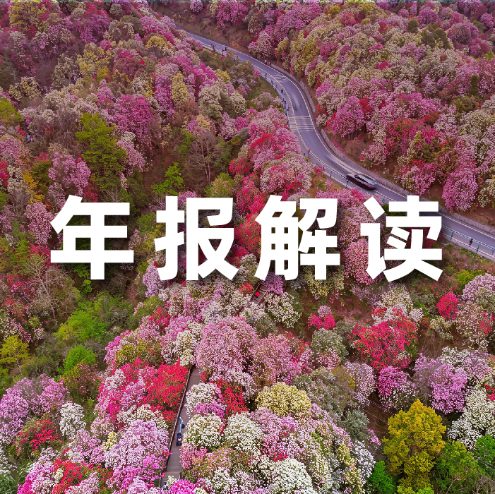 pg官方首页动力2025营收利润双增，全栈智能驱动增长，AI相关业务收入占比达52.6%  ?